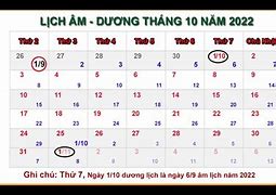 Giá Cá Tra Tháng 10/2022 Dương Lịch Là Bao Nhiêu Âm