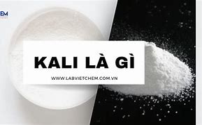 Kali Trắng Là Gì