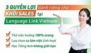 Language Link Vietnam Tuyển Dụng