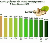 Top 5 Thị Trường Xuất Khẩu Của Việt Nam Qua Các Năm