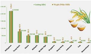 Xuất Khẩu Gạo Của Việt Nam 2022